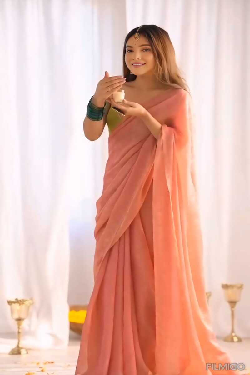 VanaWeave Reddish Orange Tissue Saree