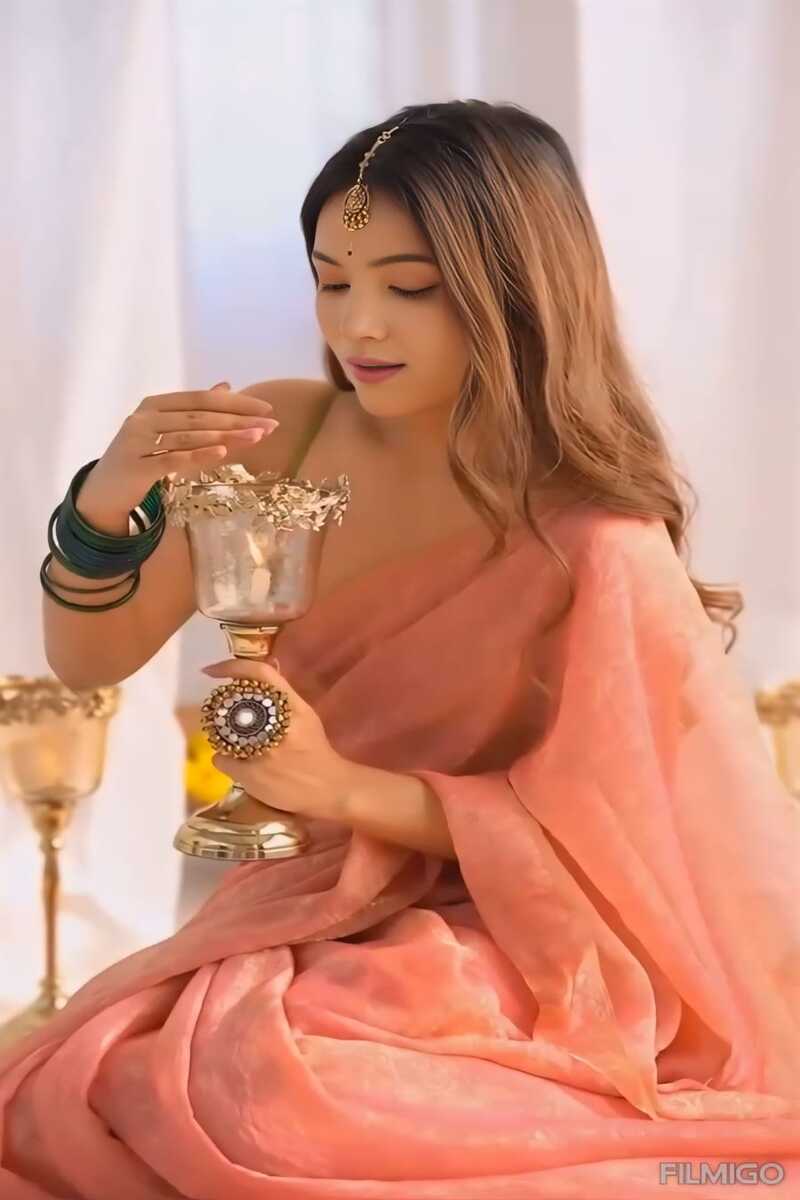 VanaWeave Reddish Orange Tissue Saree