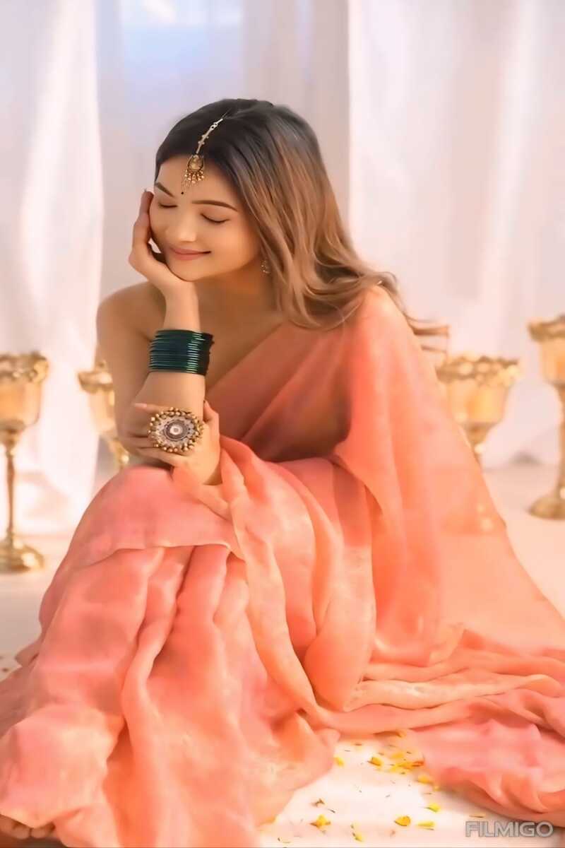 VanaWeave Reddish Orange Tissue Saree